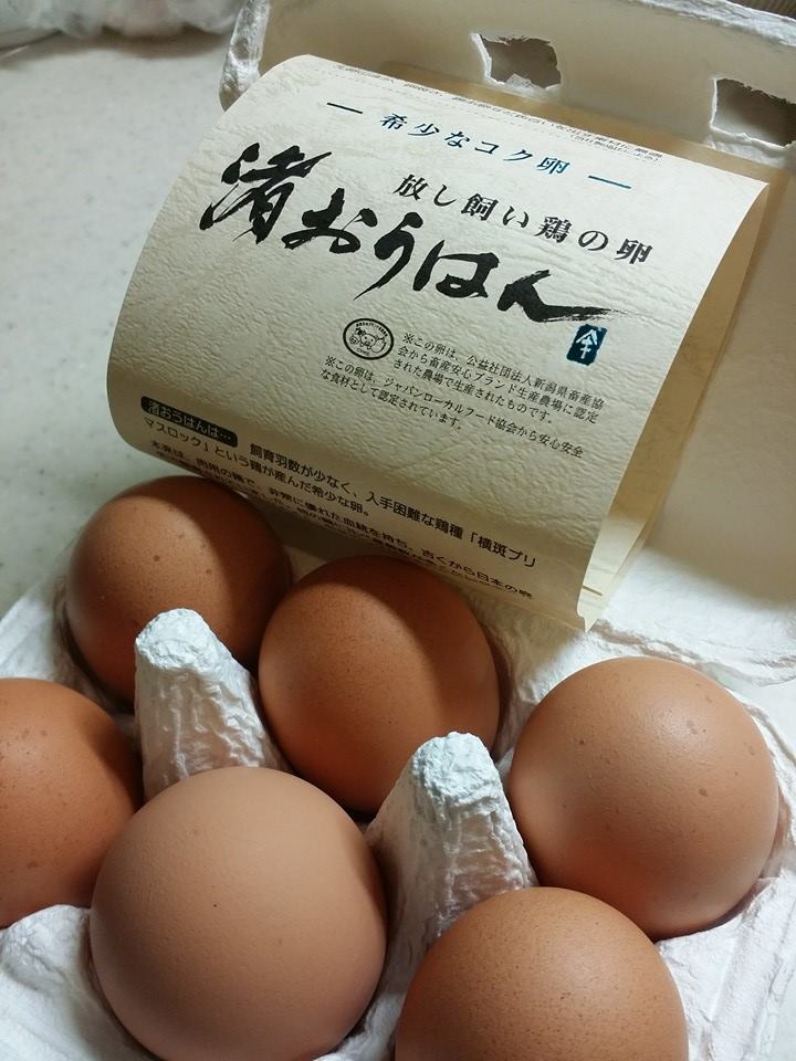 卵のパッケージ